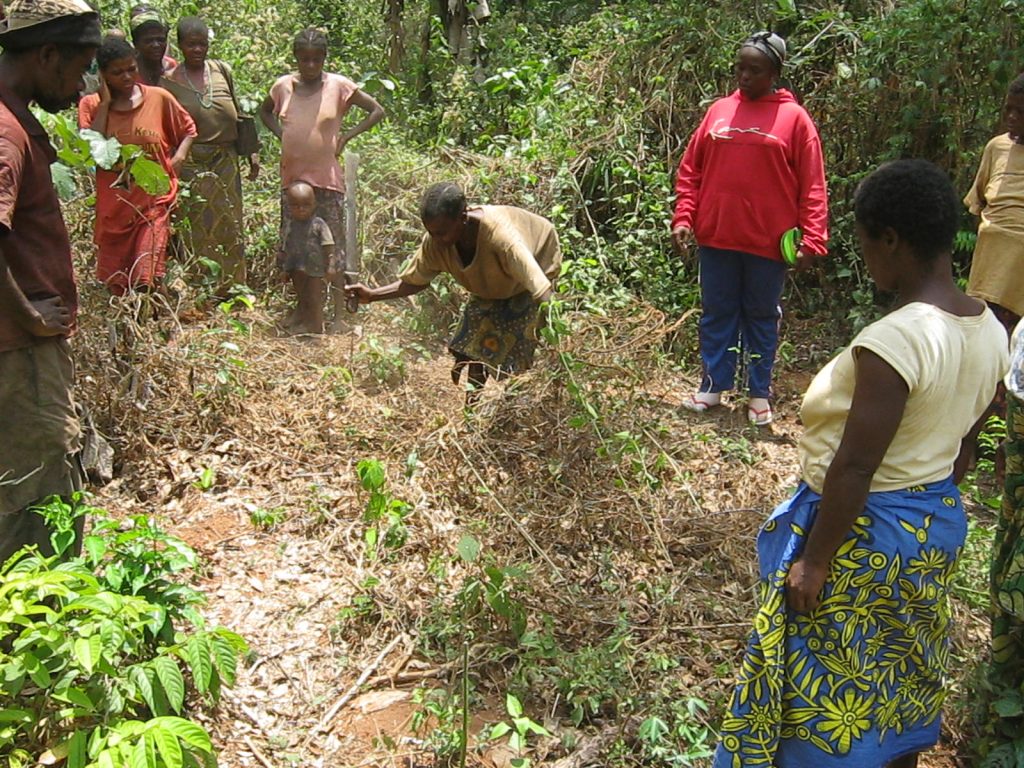 Préparation d&rsquo;une parcelle agricole par les femmes Bedzang