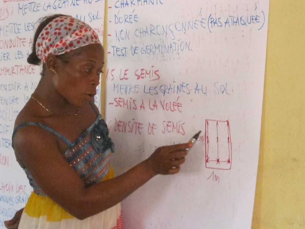 Restitution des travaux par une animatrice