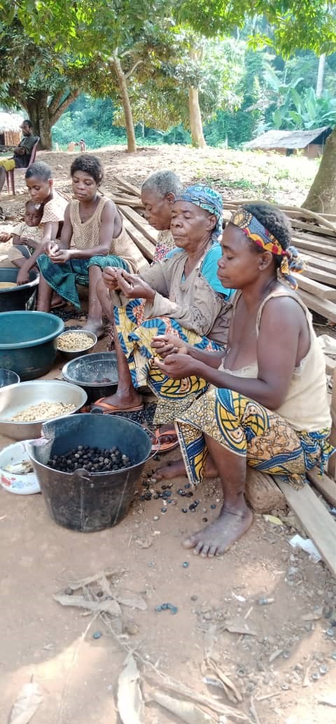 RAPPORT DIAGNOSTIC DES BESOINS ECONOMIQUES DES FEMMES BEDZANG
