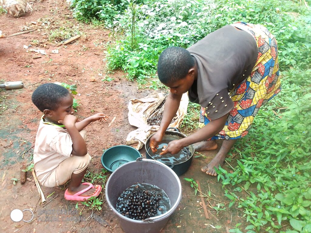 Appui-des-femmes-impliquees-dans-les-activites-Djansang.jpg