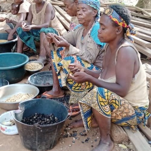 LA GOUVERNANCE ET LA GESTION DURABLE DES RESSOURCES